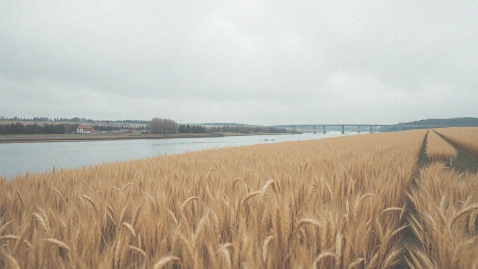 Jakie są przykłady współpracy polsko-ukraińskiej?