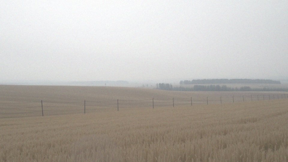 Co to znaczy, że Białoruś jest państwem granicznym w kontekście NATO?