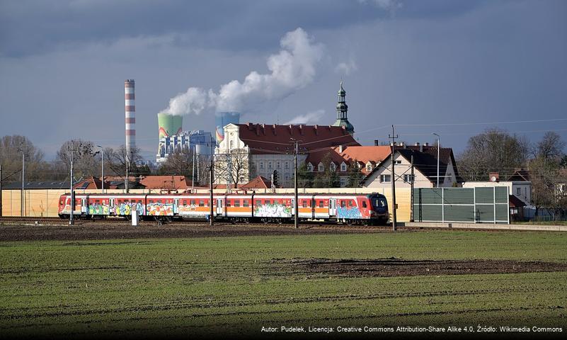 Czarnowąsy